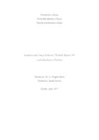 Rad Sanje Iveković Turkish Report '09 i položaj žene u Turskoj