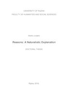 Reasons: A Naturalistic Explanation