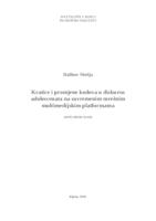 Kratice i promjena kodova u diskursu adolescenata na suvremenim mrežnim multimedijskim platformama