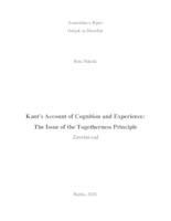 Kant's Account of Cognition and Experience: the Issue of the Togetherness Principle