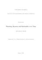 Planning, Reasons and Rationality over Time